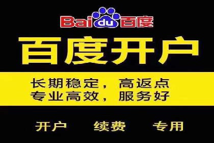 某行业SEM竞价策略的运营实践与效果